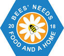 Buzzing hotspot in Bristol wins Bees Needs Award 2018