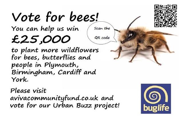 Help get York buzzing with bees!