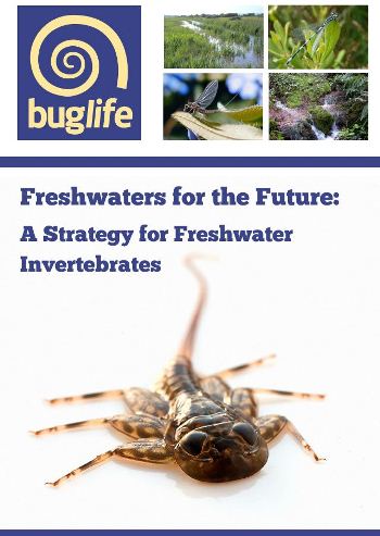 Saving the small things that manage our water