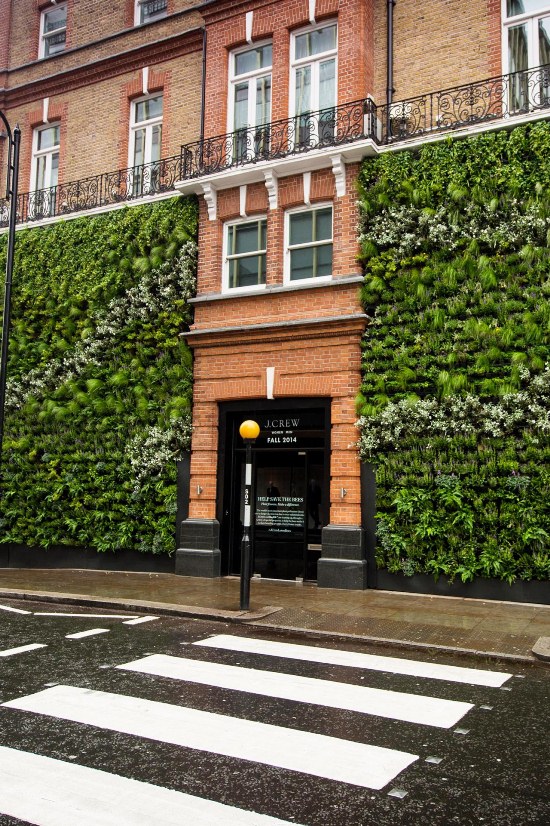 J.Crew Partners with Buglife to Save the Bees