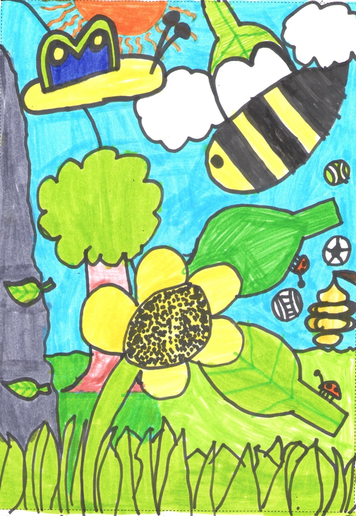 July has been a hive of activity for the Torbay’s Buzzing project